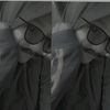 wtf_zaa1