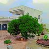 wahabkhanpur67