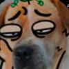 hadogcool