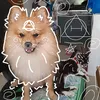 amber_vibal
