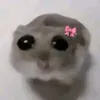 halie_berry_05