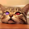 absolute_power6