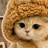 masya.allah010811