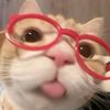 atika.bilqis.aziz84