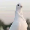 _qw8n_