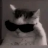umbr3rlla78