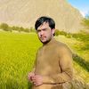 malik.saad7684
