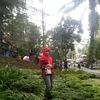 wahyu.nisinaga.yu