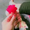 user87808161022130
