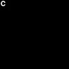 a.02083