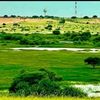 hamid.youssouf74