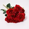 delicateroses2
