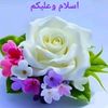 user3888679422545