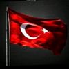 reisinfedaisi11111gmail2