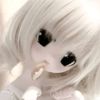 nikyyyy225
