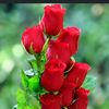 mojahid10.islam