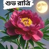 md.amin3388