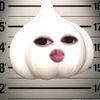 mone17529