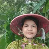 nguyetdang91