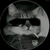 shfnhjrg6