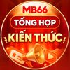 MB66 Tổng hợp kiến thức