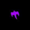 haidil_star