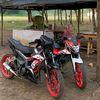 zrill_167