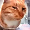 kk_ligmaball_kk