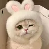 meow_cuteo1