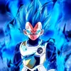 .sayan61