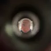 toomuchoara