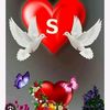 user19259670434624