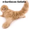 none_nil_zero