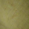 shamima.aktar48