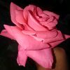 user7109029008119