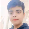 .313452136
