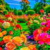 sikandar.ali.jutt68