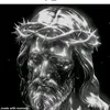 mark81126