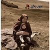 alieb474
