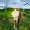 megancomendomilhoo.6