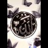 user819849088619