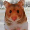 usernotfound26.__
