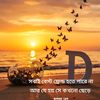 abir31327