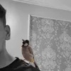 3tad_m1