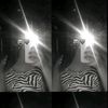 angelica.pineda485