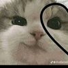 diana.laureano77
