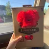 liti_lula1