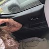 mackenzie_shoe