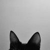 kawther.asma