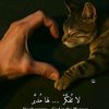 user3506963500661